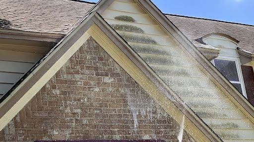 Mold Remediation