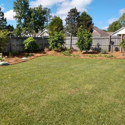 Lawn Aeration