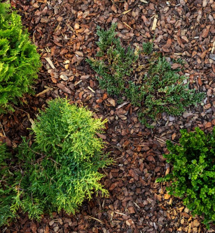 Mulching
