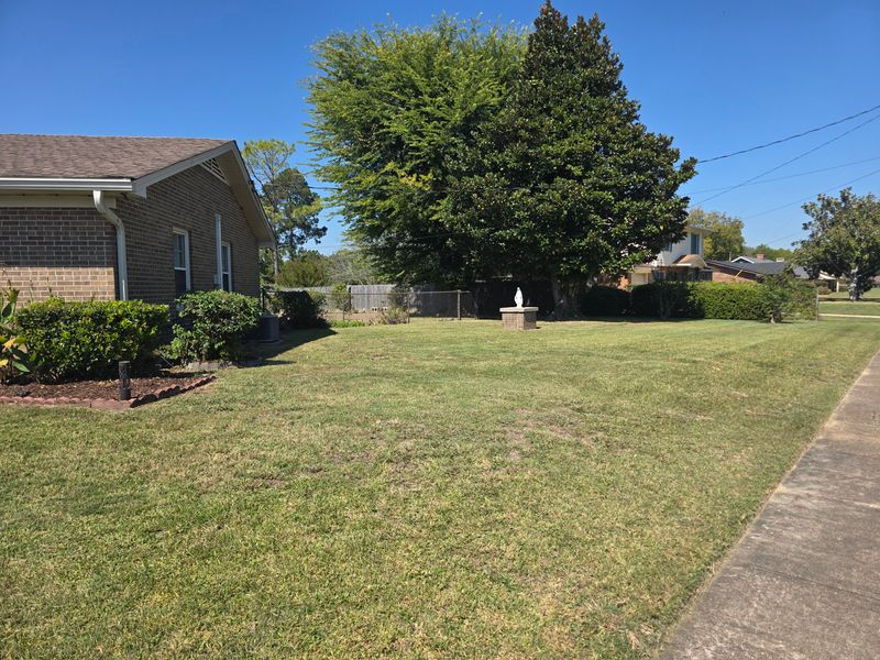 Lawn Maintenance