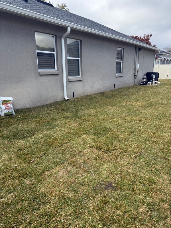 Sod Installation