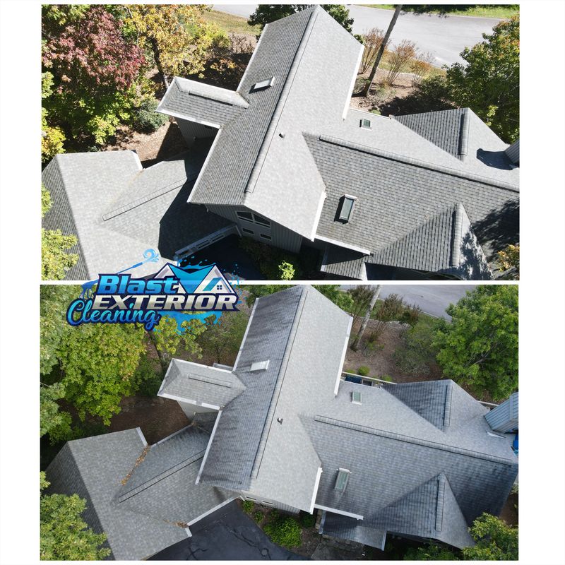 Roof Washing