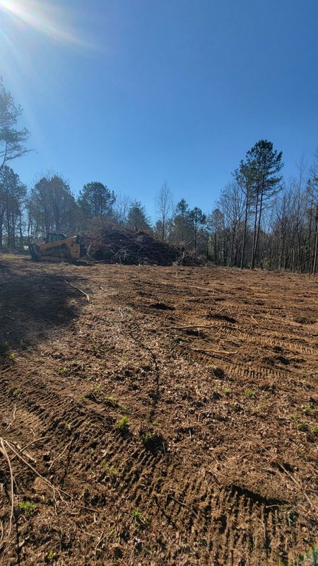 Land Clearing