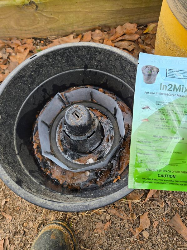Mosquito Control