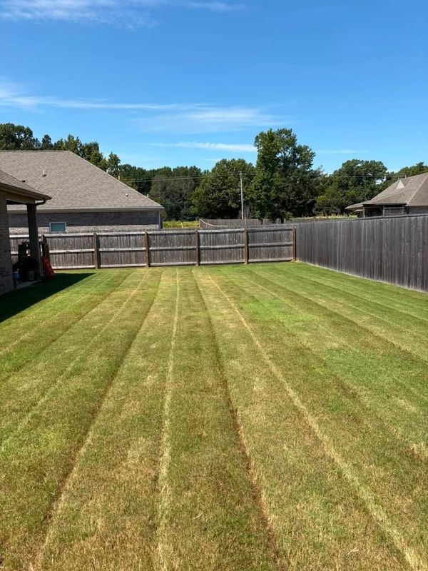 Lawn Maintenance