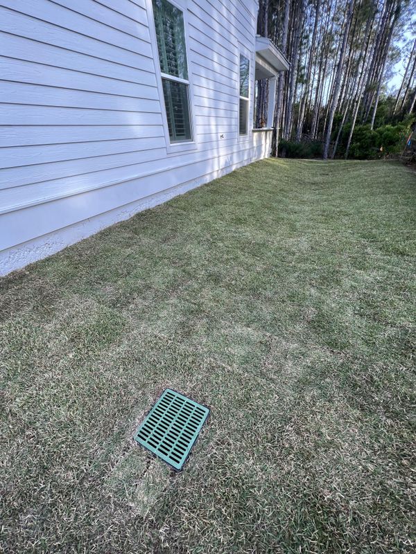 Sod Installation