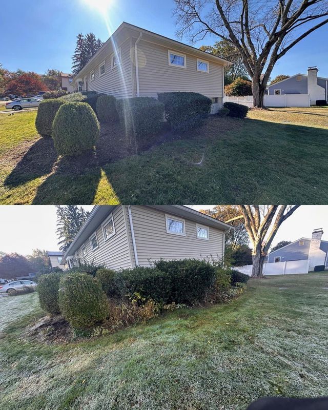 Shrub Trimming