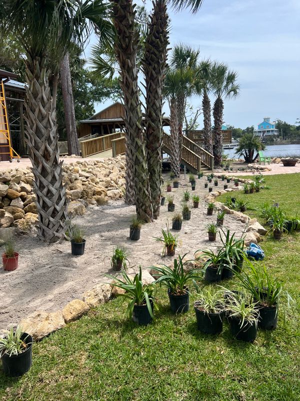 Landscape Design and Installation