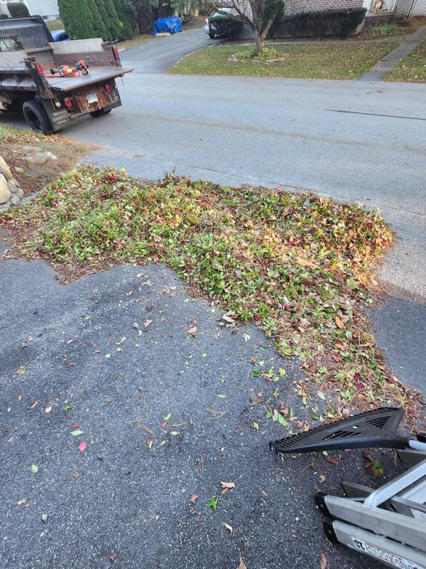 Fall Cleanups