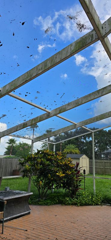 Revitalizing Pool Spaces: Expert Pressure Washing in Brandon, FL