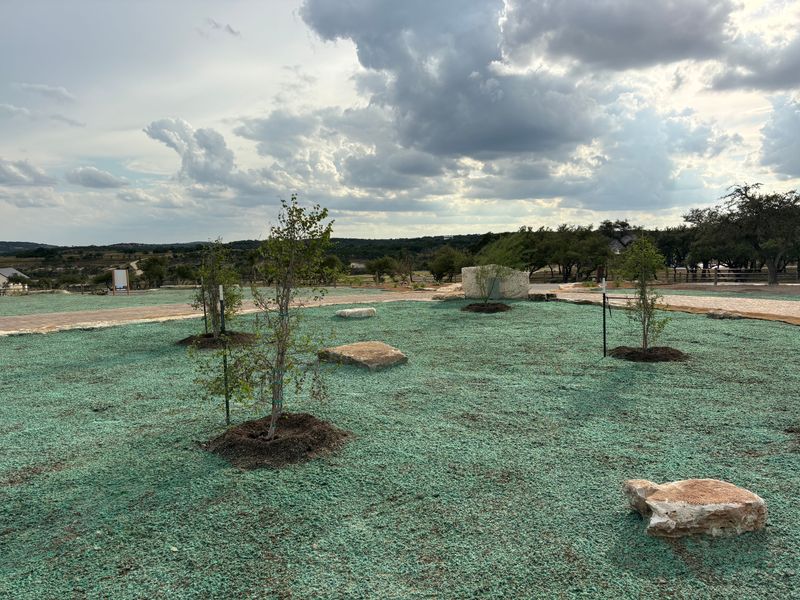 Hydroseeding