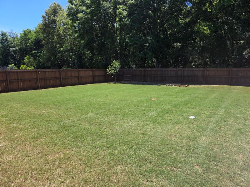 Lawn Maintenance
