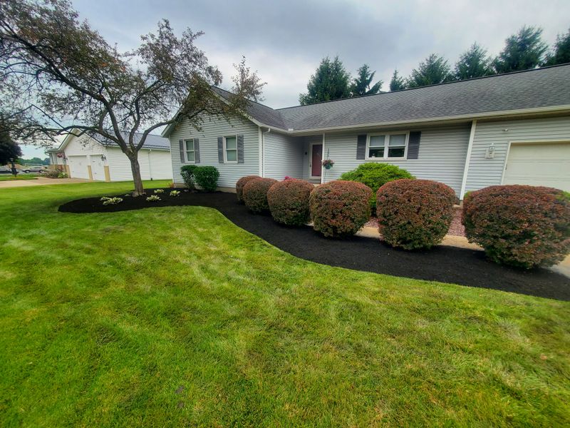 Tree & Shrub Care