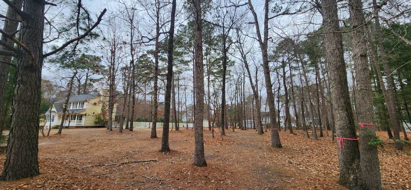 Property Clean Up and Prep