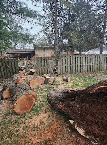 Tree Removal