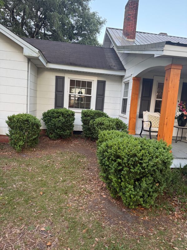 Tree & Shrub Care