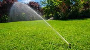 Lawn Maintenance