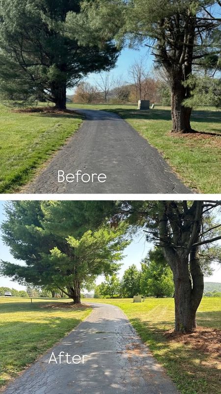 Landscape Design