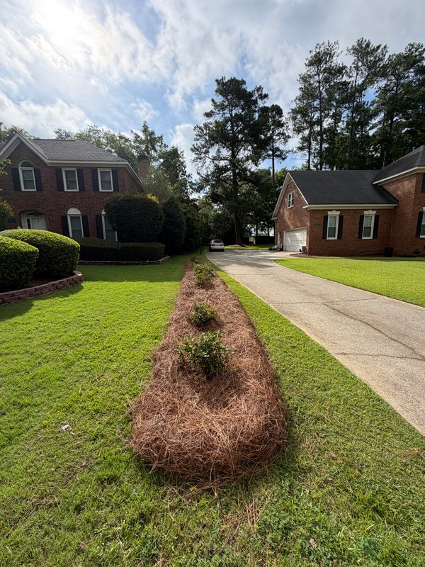 Landscape Design & Installation