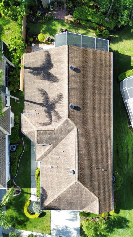 Roof Cleaning