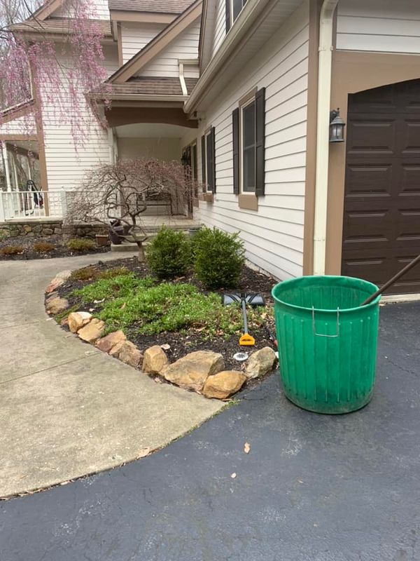 Tree & Shrub Care
