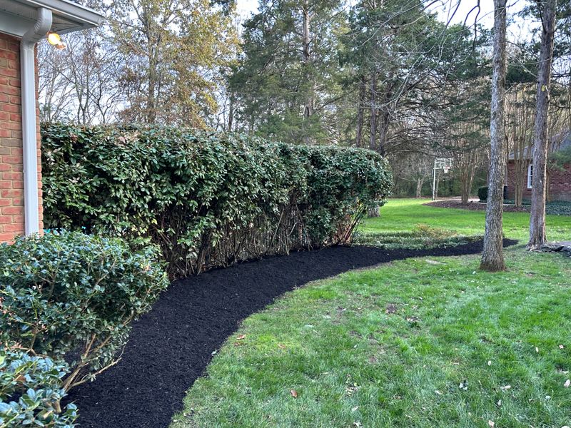 Landscaping