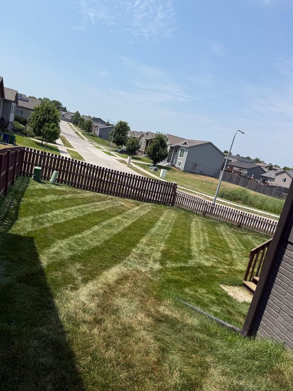 Lawn Maintenance