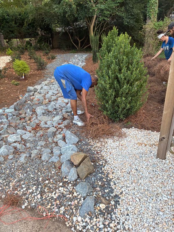 Mulch Installation