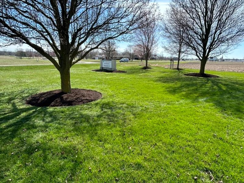 Lawn Maintenance