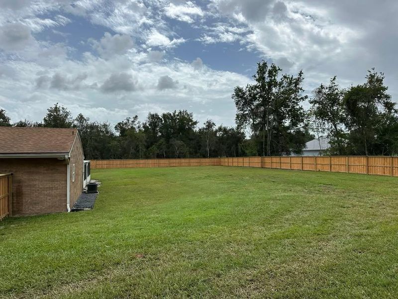 Equestrian Fencing