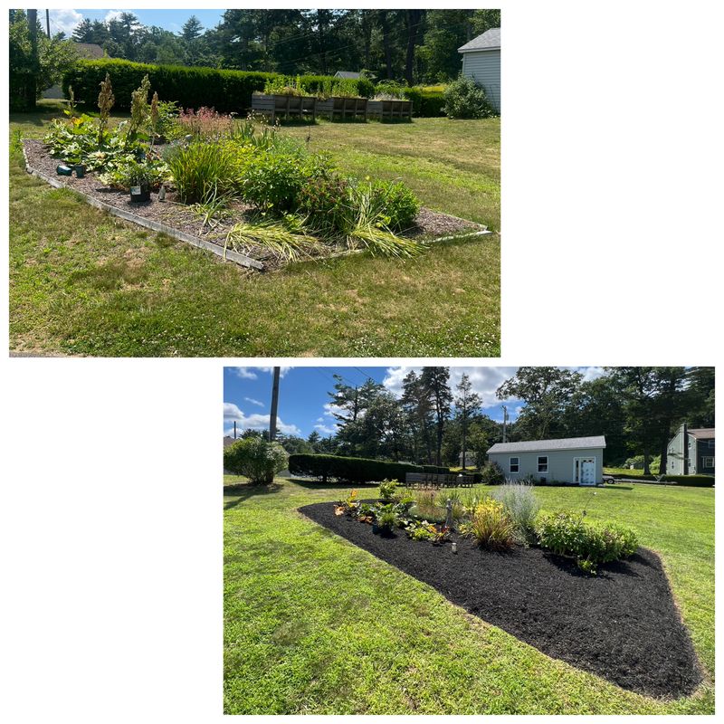 Mulch Installation