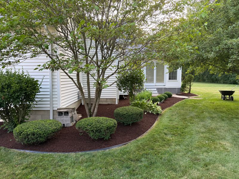 Shrub Trimming