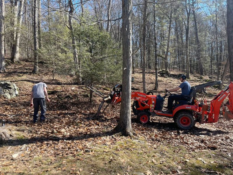 Tree & Shrub Care