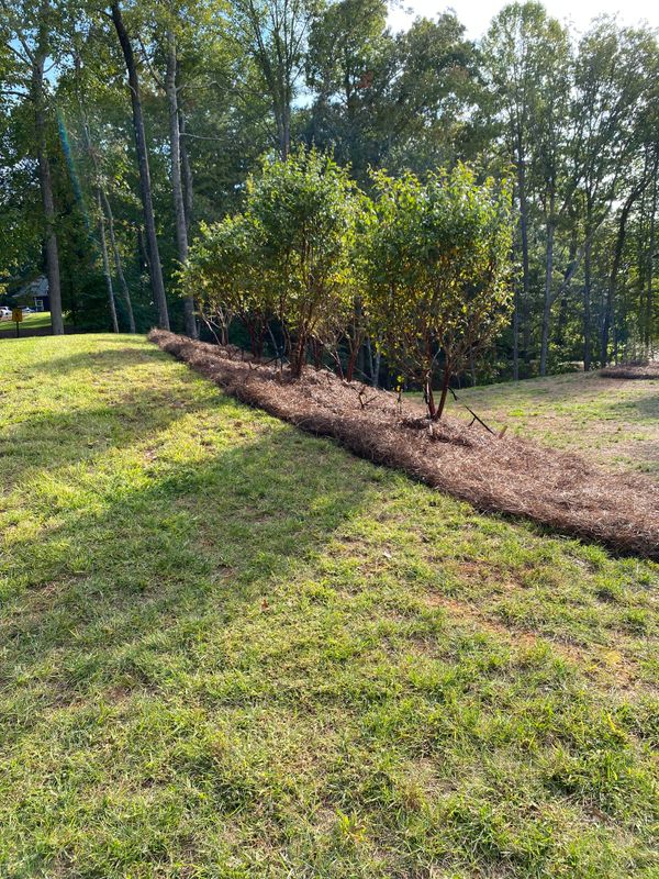Ground covers