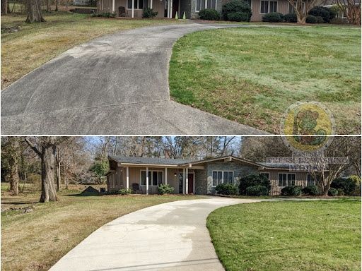 Driveway and Sidewalk Cleaning