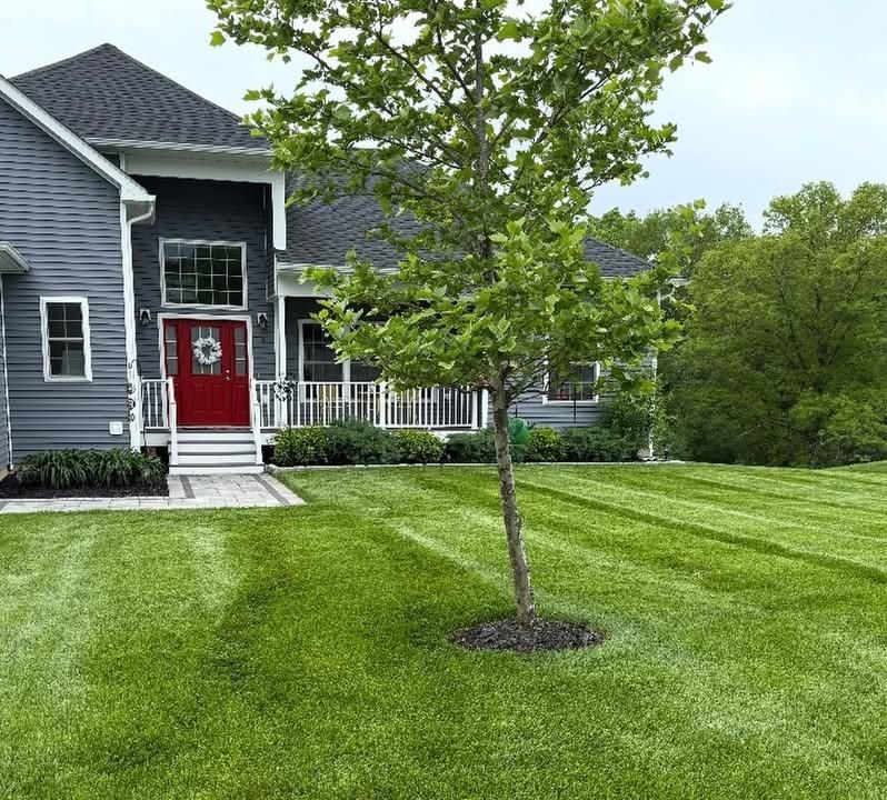 Complete Landscaping Design