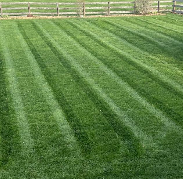 Our Mowing