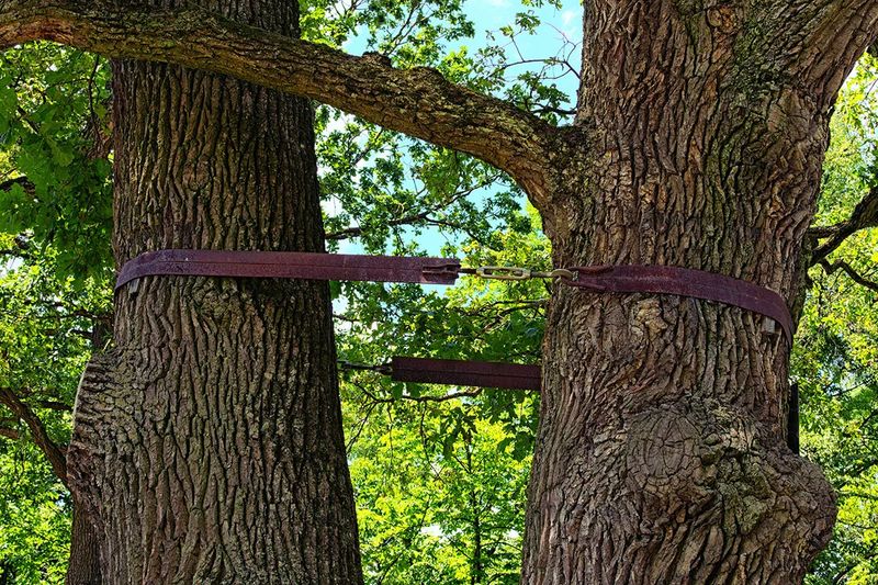 Cable & Bracing