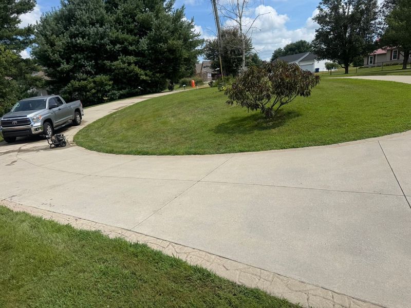 Lawns