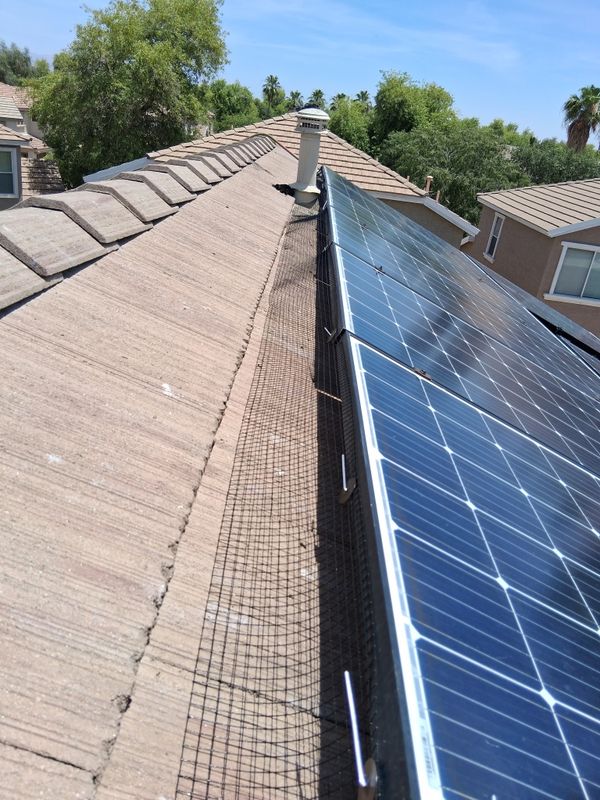 Bird Proofing