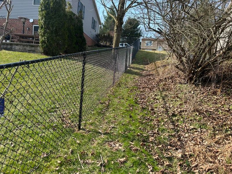Chain Link Fencing