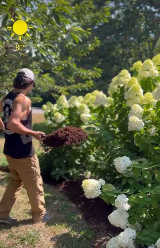 Mulch Bed Installation And Renovation
