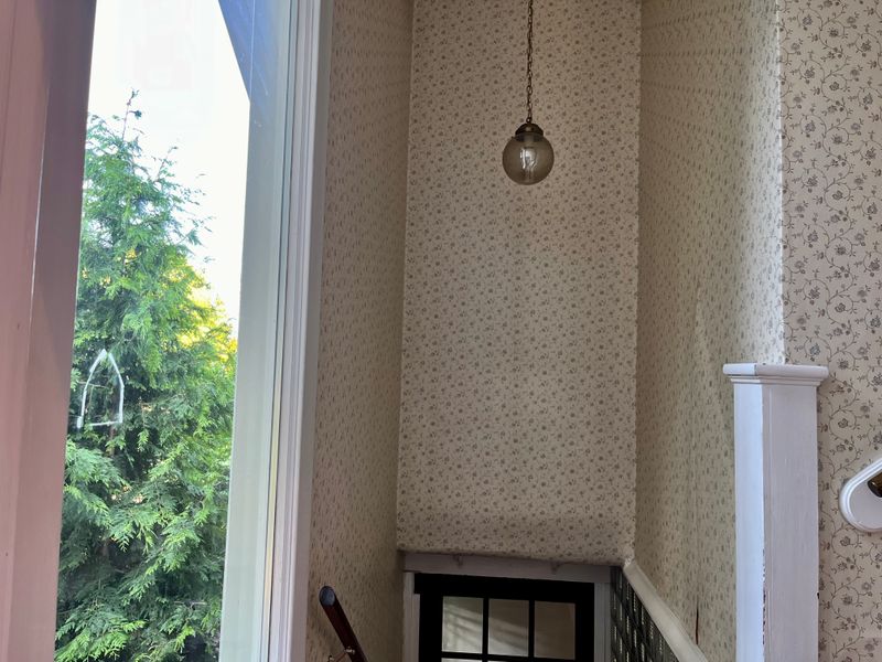 Wallpaper removal 