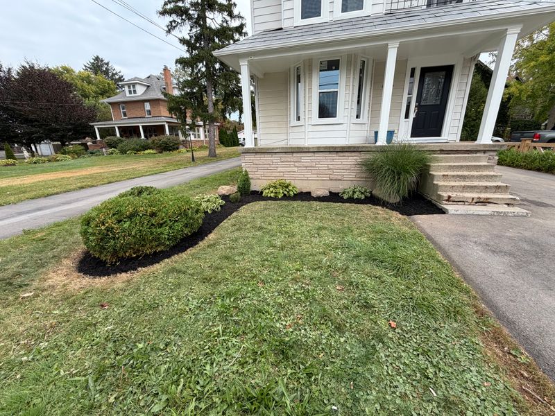 Transformative Curb Appeal: Clover Creek Landscaping's Expert Clearing and Mulching Revitalizes Overgrown Spaces