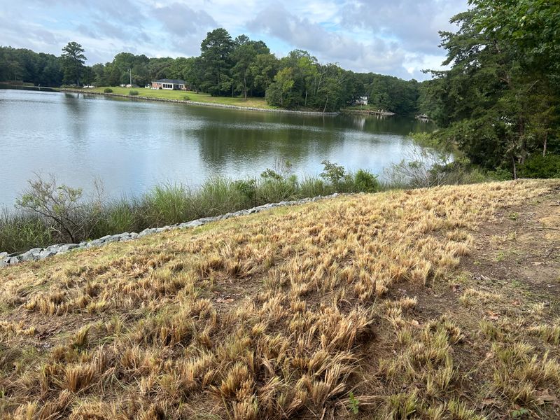 River Bank Clearing  gallery