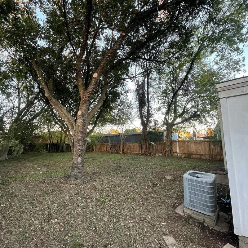 Tree Trimming & Removal