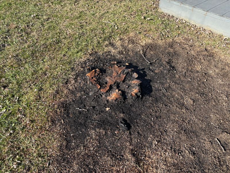 Stump Removal