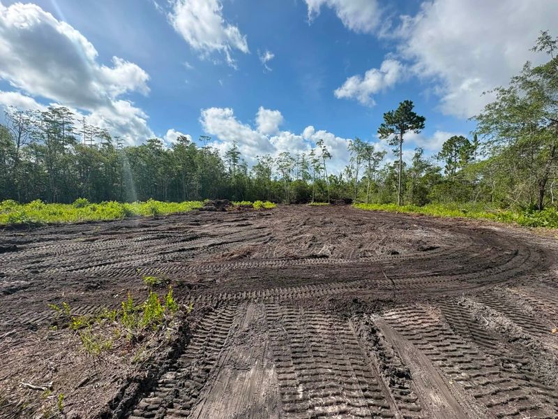 Forestry Mulching