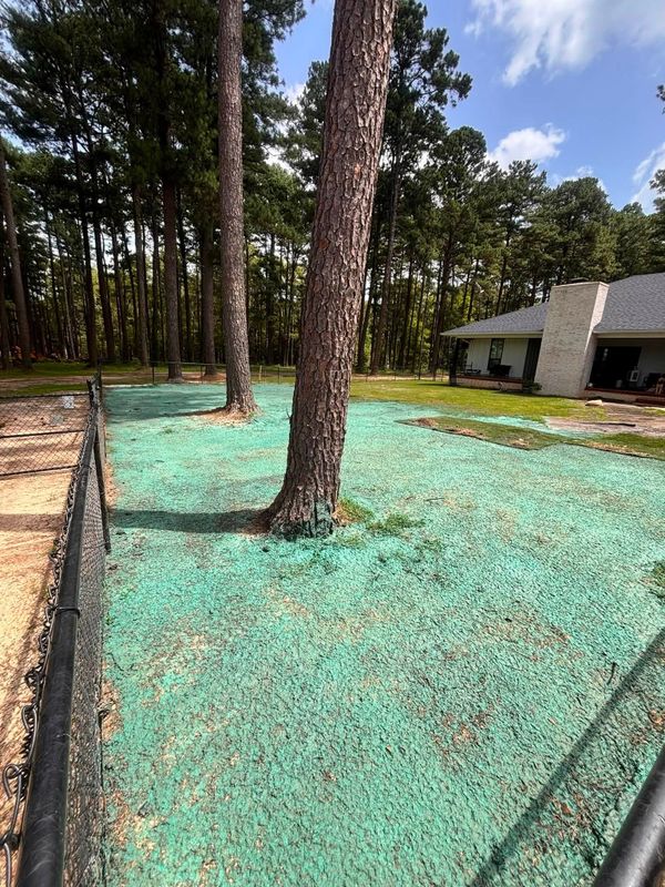 Hydroseeding