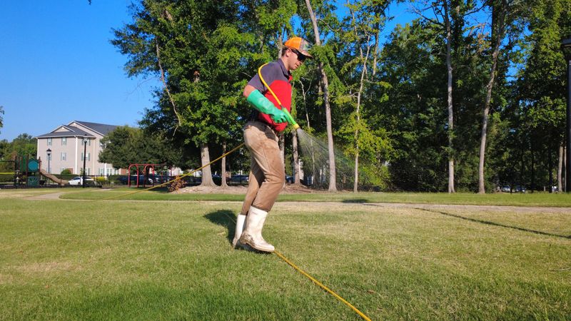 Lawn Care
